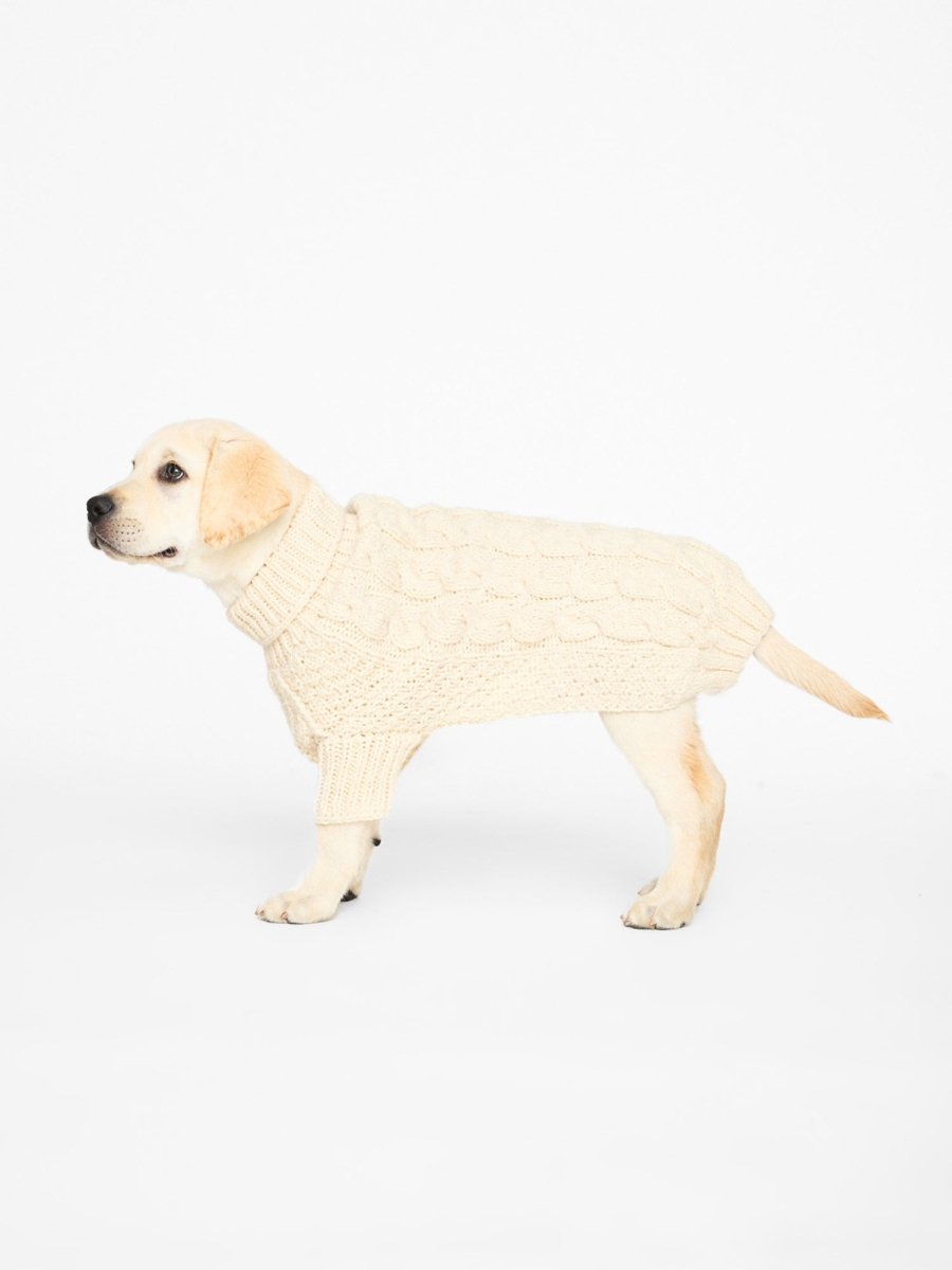 Cable knit neutral dog sweater side view 2